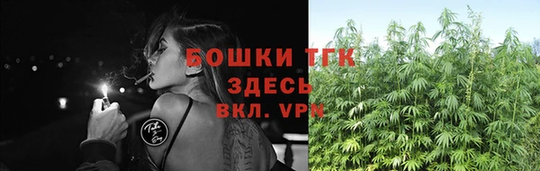 шишки Карталы