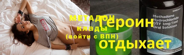 прущие грибы Карпинск