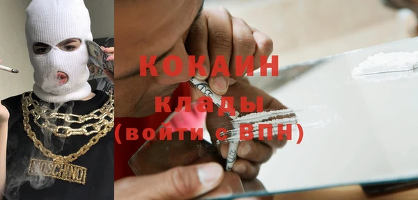 прущие грибы Карпинск