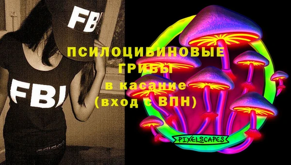 бошки Козловка