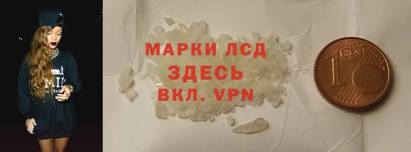 прущие грибы Карпинск