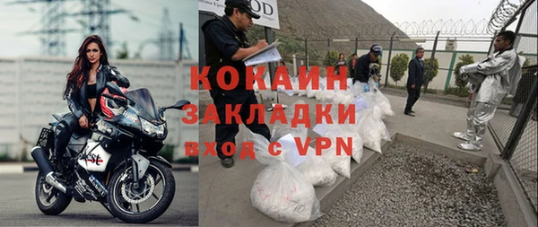 прущие грибы Карпинск