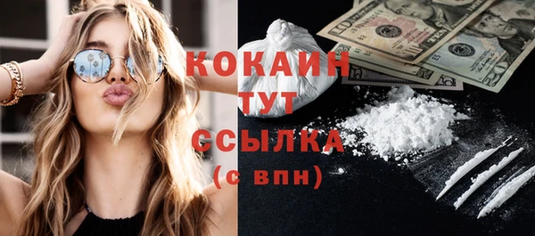 прущие грибы Карпинск