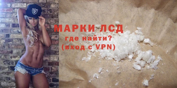 прущие грибы Карпинск