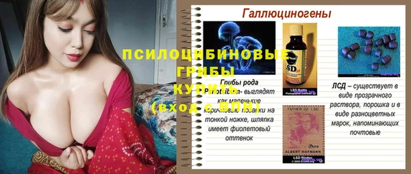 бошки Козловка