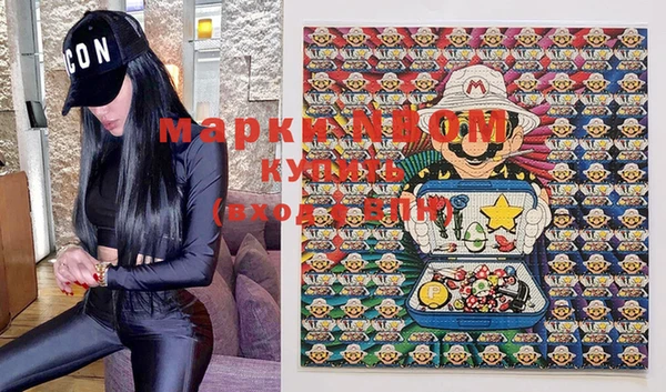 прущие грибы Карпинск