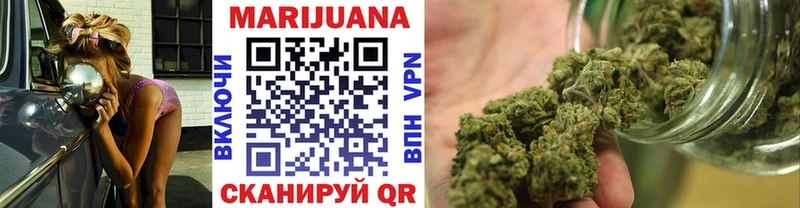 Купить где  Выборг  Каннабис сатива 